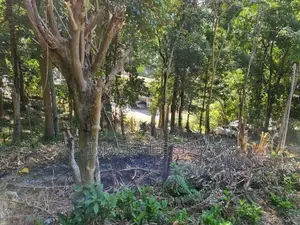 Scenic Land in Gurudeniya