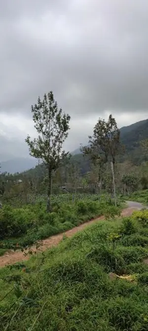 Natural land plots for sale in Haputale