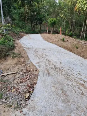 Scenic Land in Gurudeniya