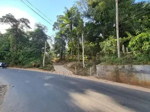 Scenic Land in Gurudeniya