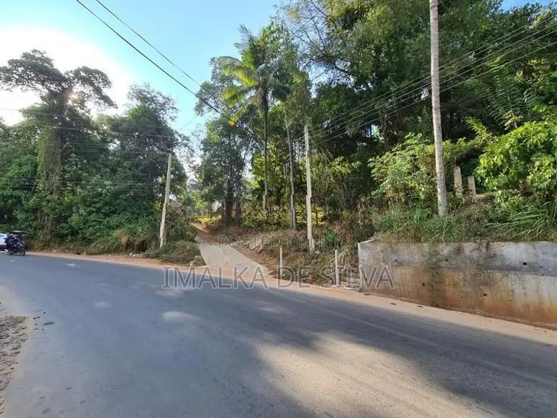 Scenic Land in Gurudeniya
