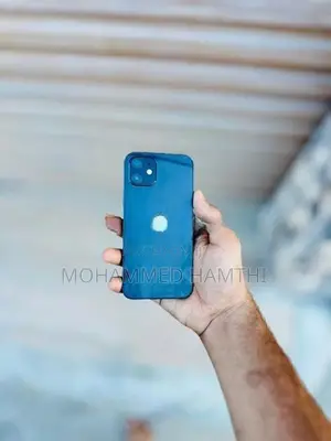 Apple iPhone 12 (Used)