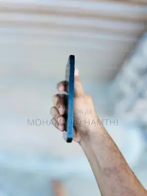Apple iPhone 12 (Used)