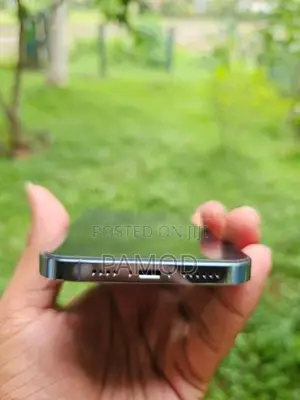 Apple iPhone 13 Pro Max (Used)