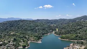 Land for sale in Digana