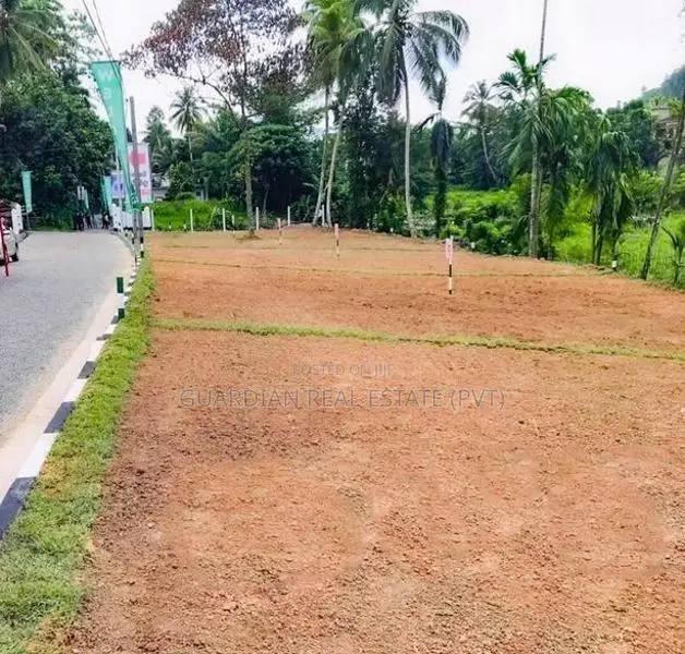 Valuable Land Plots For Sale In Homagama, Watareka