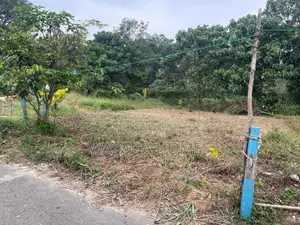 Premium Land for Sale Kahathuduwa