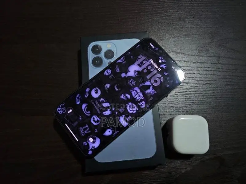 Apple iPhone 13 Pro Max (Used)