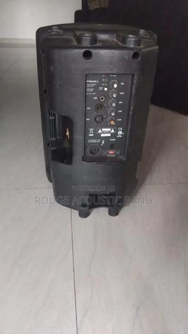 Powered Speaker