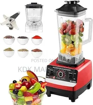 Electric Juicer