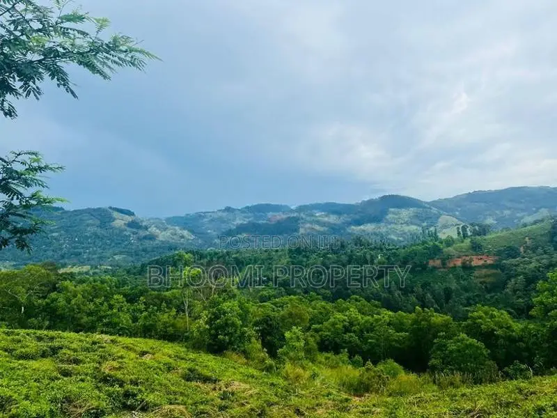 හන්තාන කදු පෙනෙන මානයේ අගනා බිම් කොටස් කිහිපයක්
