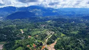 පේරාදෙනිය නගරයට සමීපවම බිම් කොටස් කිහිපයක්