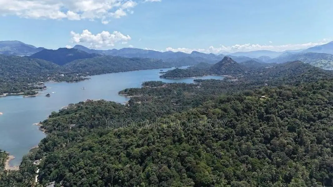 land for sale in digana