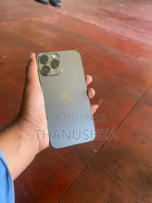 Apple iPhone 13 Pro Max (Used)