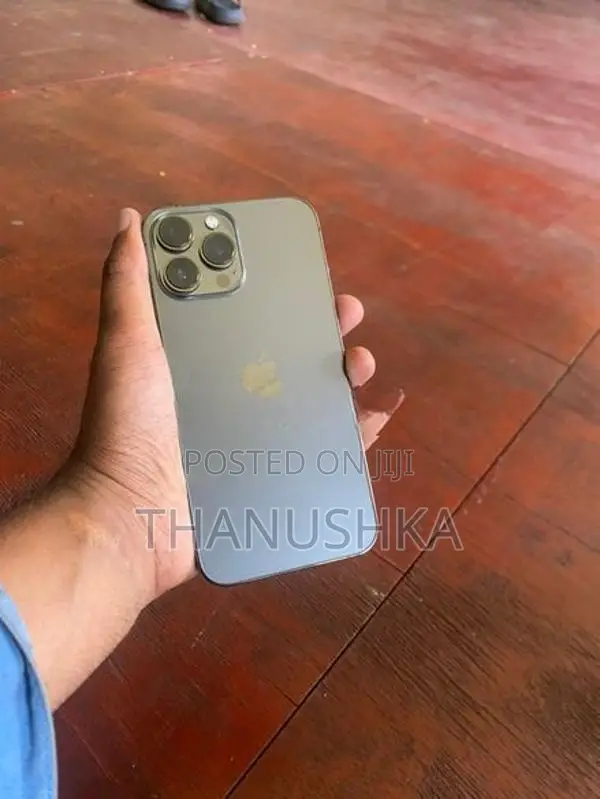 Apple iPhone 13 Pro Max (Used)