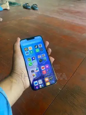 Apple iPhone 13 Pro Max (Used)