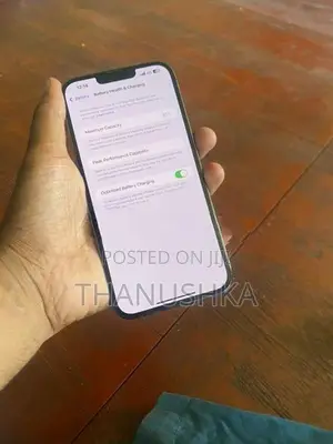 Apple iPhone 13 Pro Max (Used)