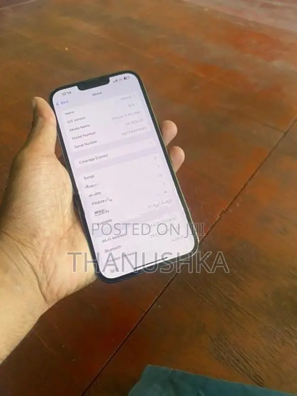 Apple iPhone 13 Pro Max (Used)