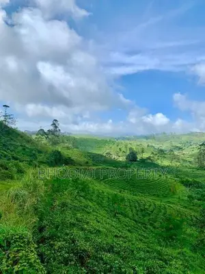 natural land plots for sale in haputhale