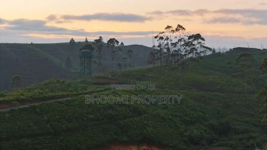 natural land plots for sale in haputhale