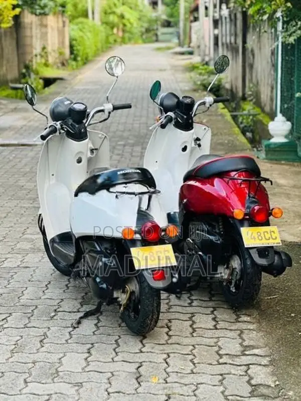 Honda Today 48CC 2025