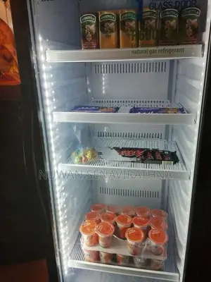 Sisil Bottle Cooler R600A 250L
