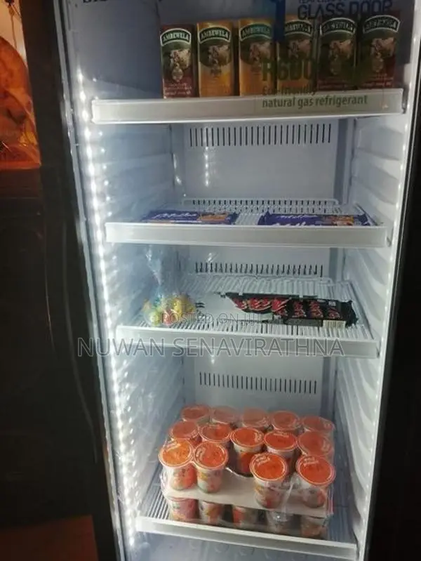 Sisil Bottle Cooler R600A 250L