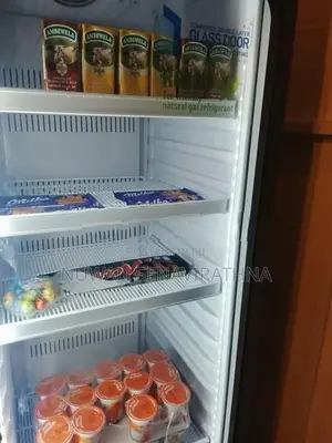 Sisil Bottle Cooler R600A 250L