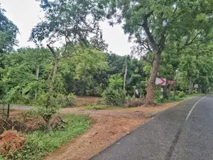 Land for Sale – Sooriyawewa, Hambantota