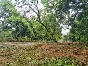 Land for Sale – Sooriyawewa, Hambantota