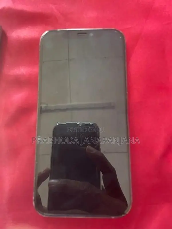 Apple iPhone 12 Pro (Used)