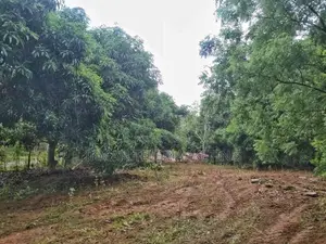Land for Sale – Sooriyawewa, Hambantota