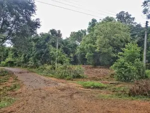 Land for Sale – Sooriyawewa, Hambantota