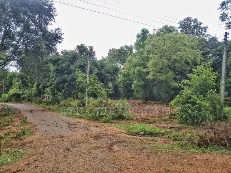 Land for Sale – Sooriyawewa, Hambantota