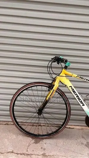 Merida Bicycle