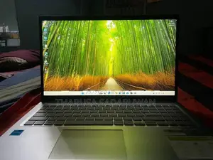 Asus Vivobook F1504VAP-IH79T