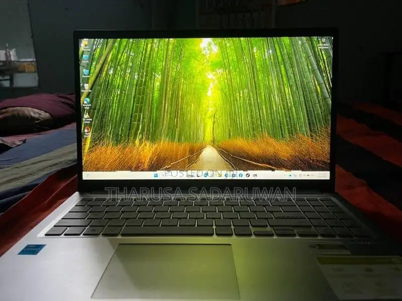 Asus Vivobook F1504VAP-IH79T