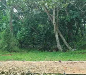 ☆ Boralesgamuwa Land for Sale ( RLS - 719 )