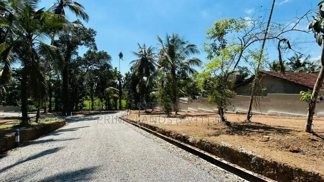 හෝමාගම නේවාසික බිම් කොටස් විකිණීම