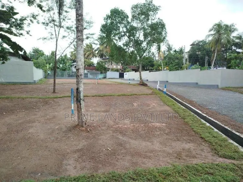 හෝමාගම බිම් කොටස් විකිණීමට