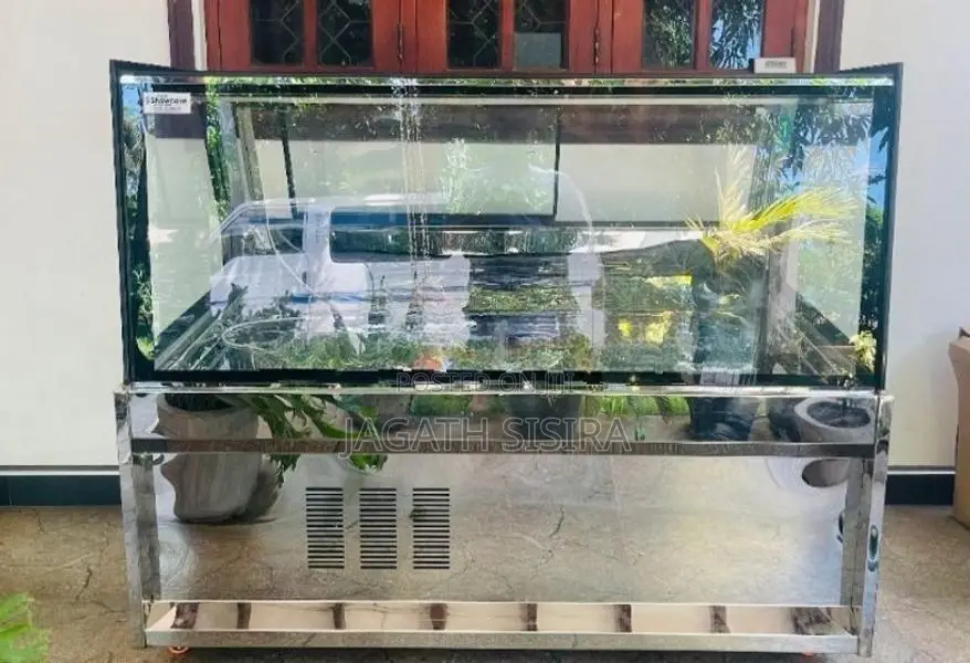 Chicken Display Freezer 5ft