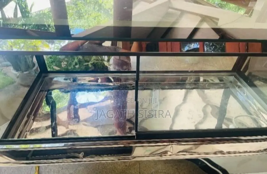 Chicken Display Freezer 5ft