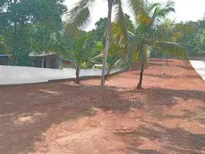Well Developed Land for Sale in Dambadeniya P10