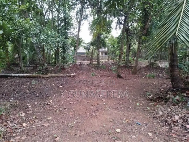 Land for Sale In Piliyandala