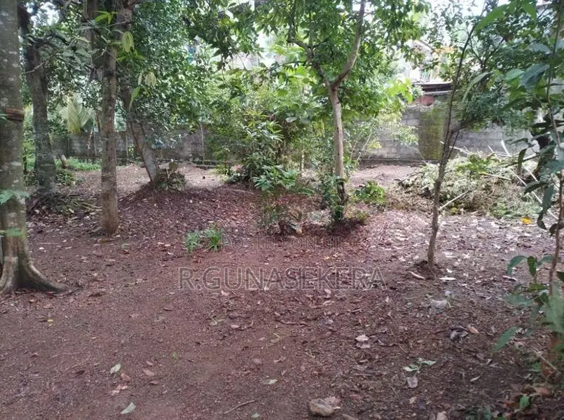 Land for Sale In Piliyandala