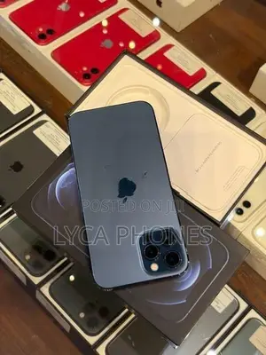 Apple iPhone 12 Pro Max 256GB (Used)
