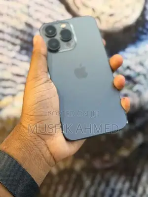 Apple iPhone 13 Pro 256GB (Used)