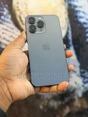 Apple iPhone 13 Pro 256GB (Used)