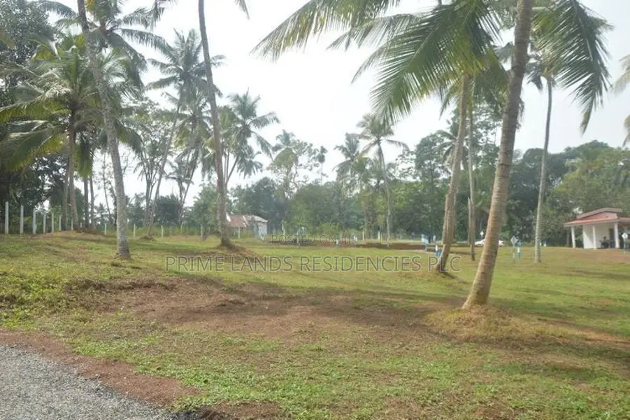 Land for sale in Moratuwa Gorakana