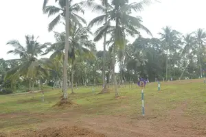 Land for sale in Moratuwa Gorakana